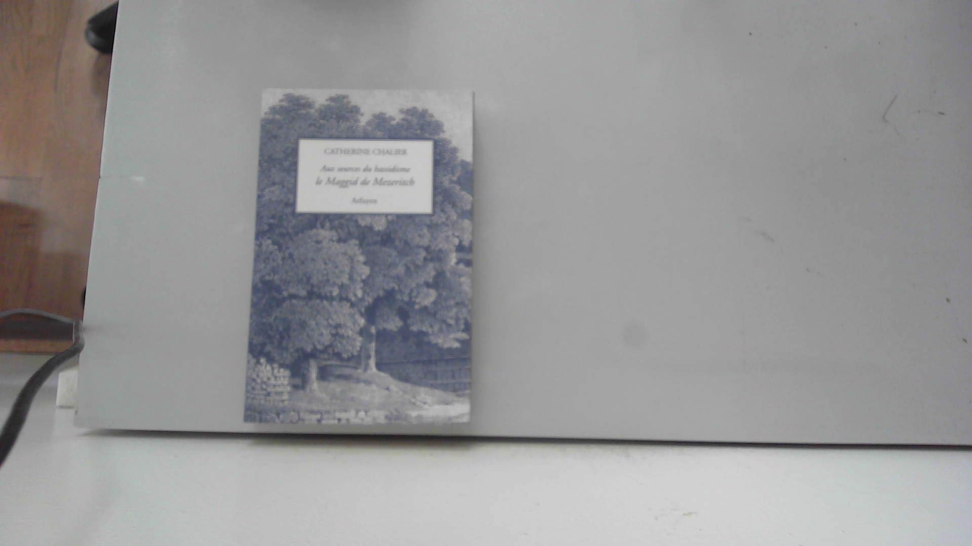 Aux sources du hassidisme, le Maggid de Mezeritch book