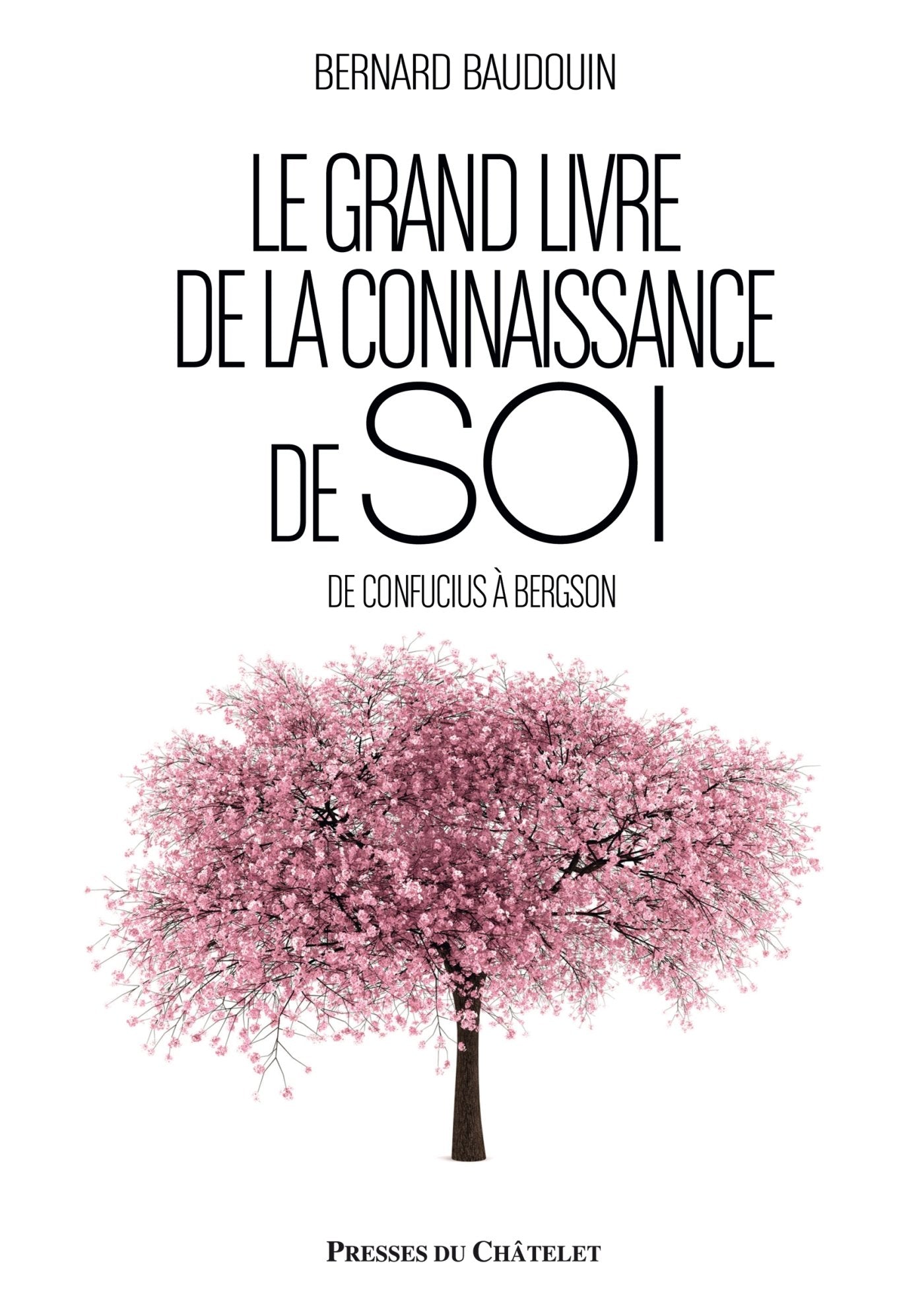 Le grand livre de la connaissance de soi: De Confucius à Bergson book