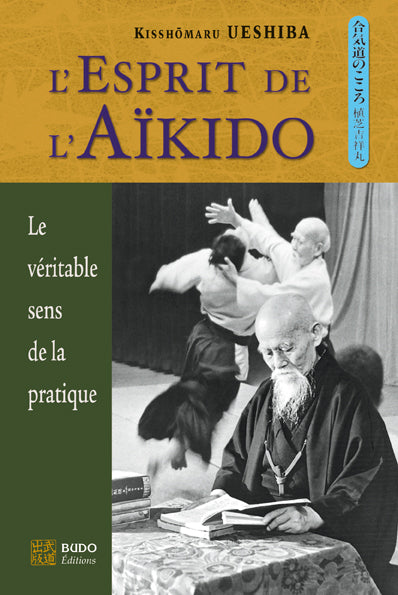 L'esprit de l'aïkido : le véritable sens de la pratique Leisure & Fun