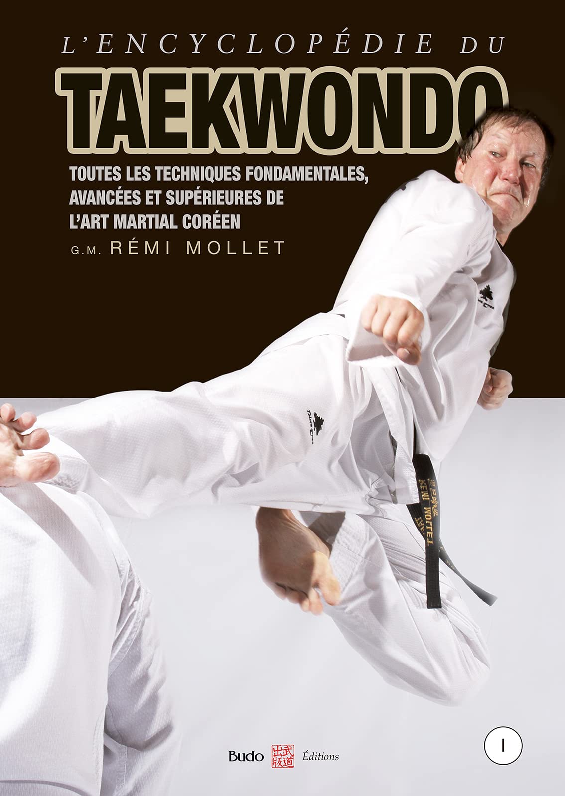 L'Encyclopédie du taekwondo vol. 1: Toutes les techniques fondamentales, avancées et supérieures de l'art martial coréen Professional & Reference Books