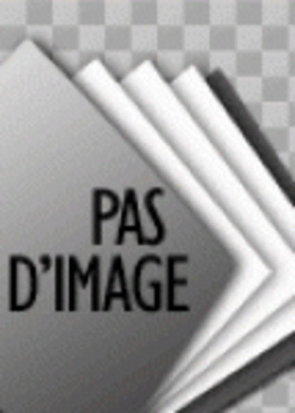 Le crétin tel qu'on le parle, ou Le jargon des élites book