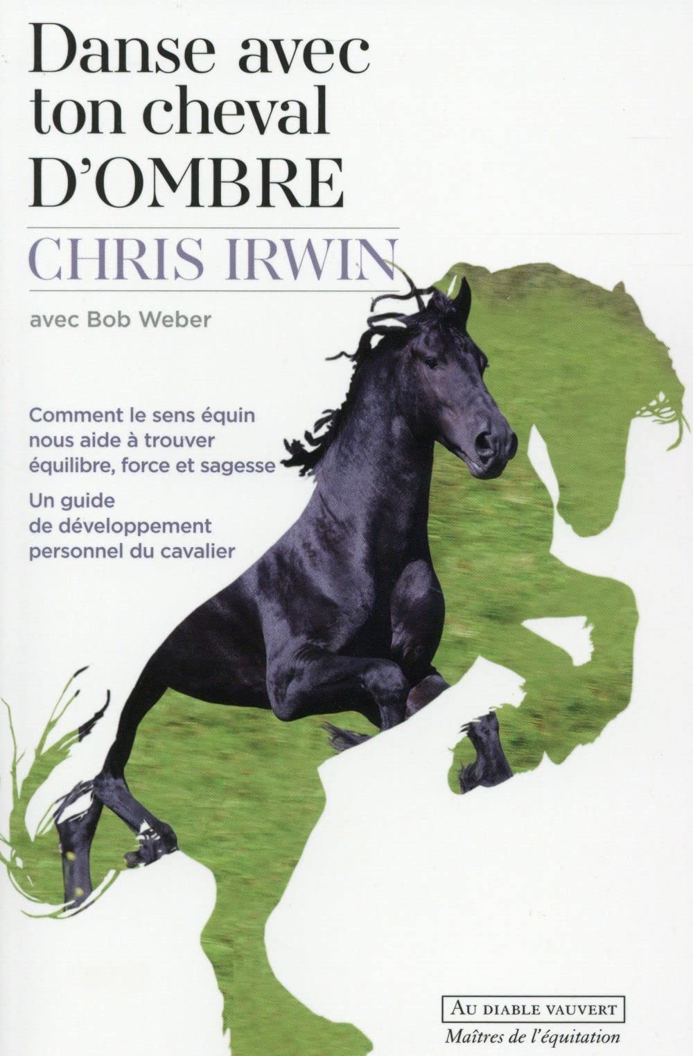 Danse avec ton cheval d'ombre: Comment le sens équin nous aide à trouver équilibre, force et sagesse book
