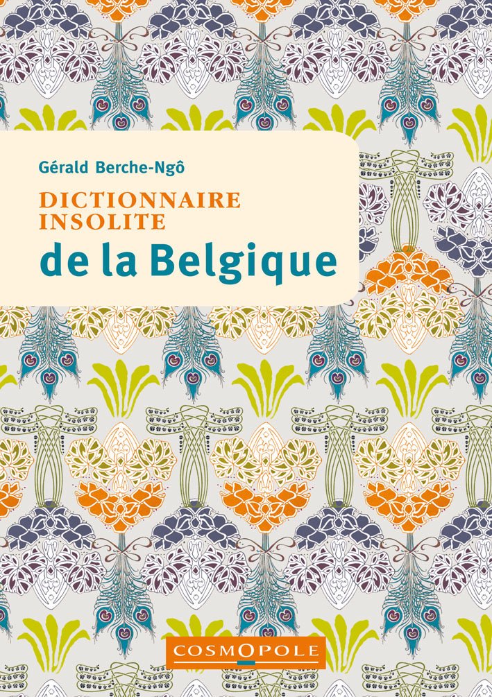 Dictionnaire insolite de la Belgique book
