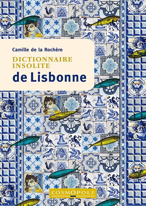 Dictionnaire insolite de Lisbonne book