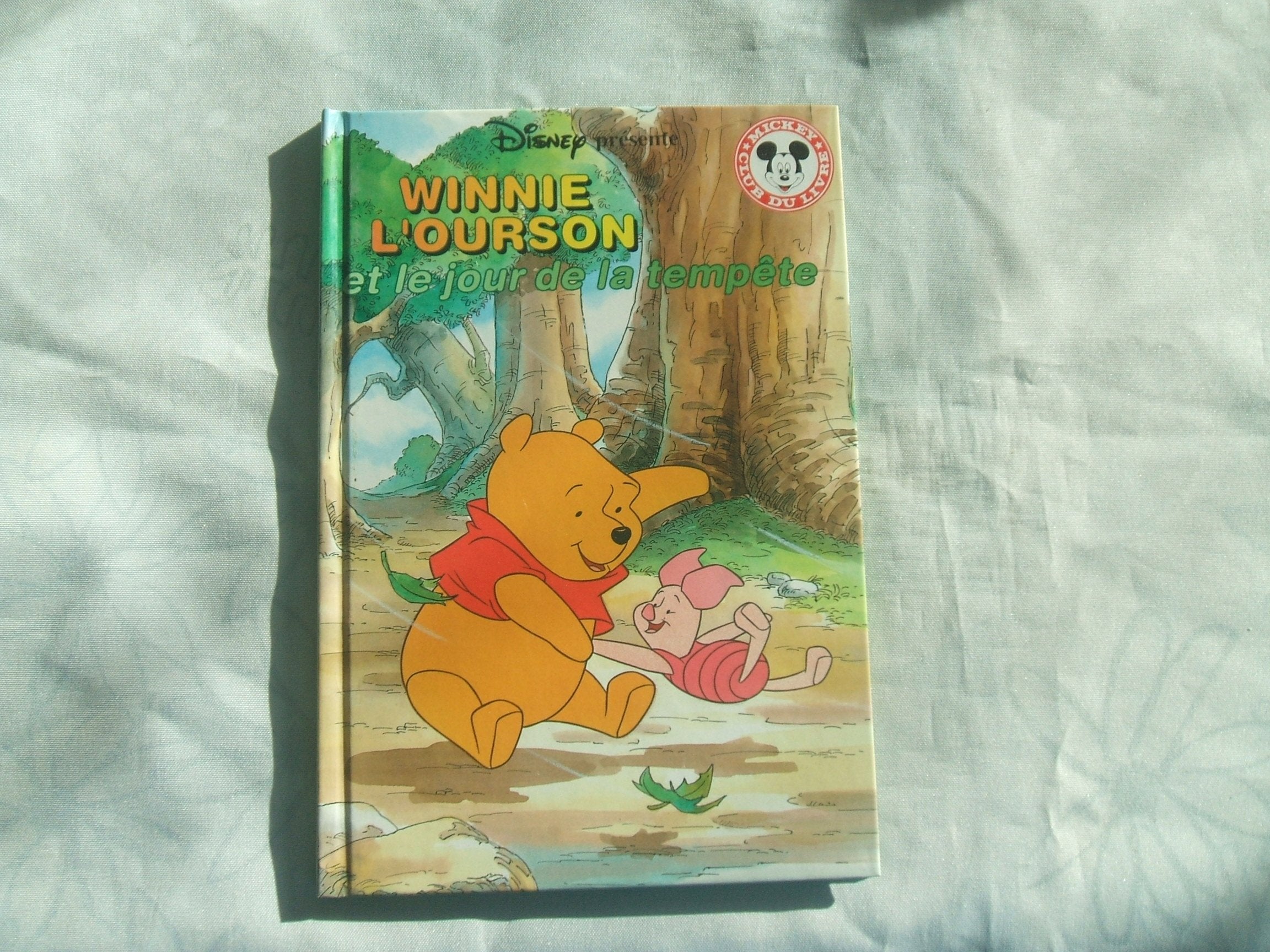 Winnie l'ourson et le jour de la tempête book