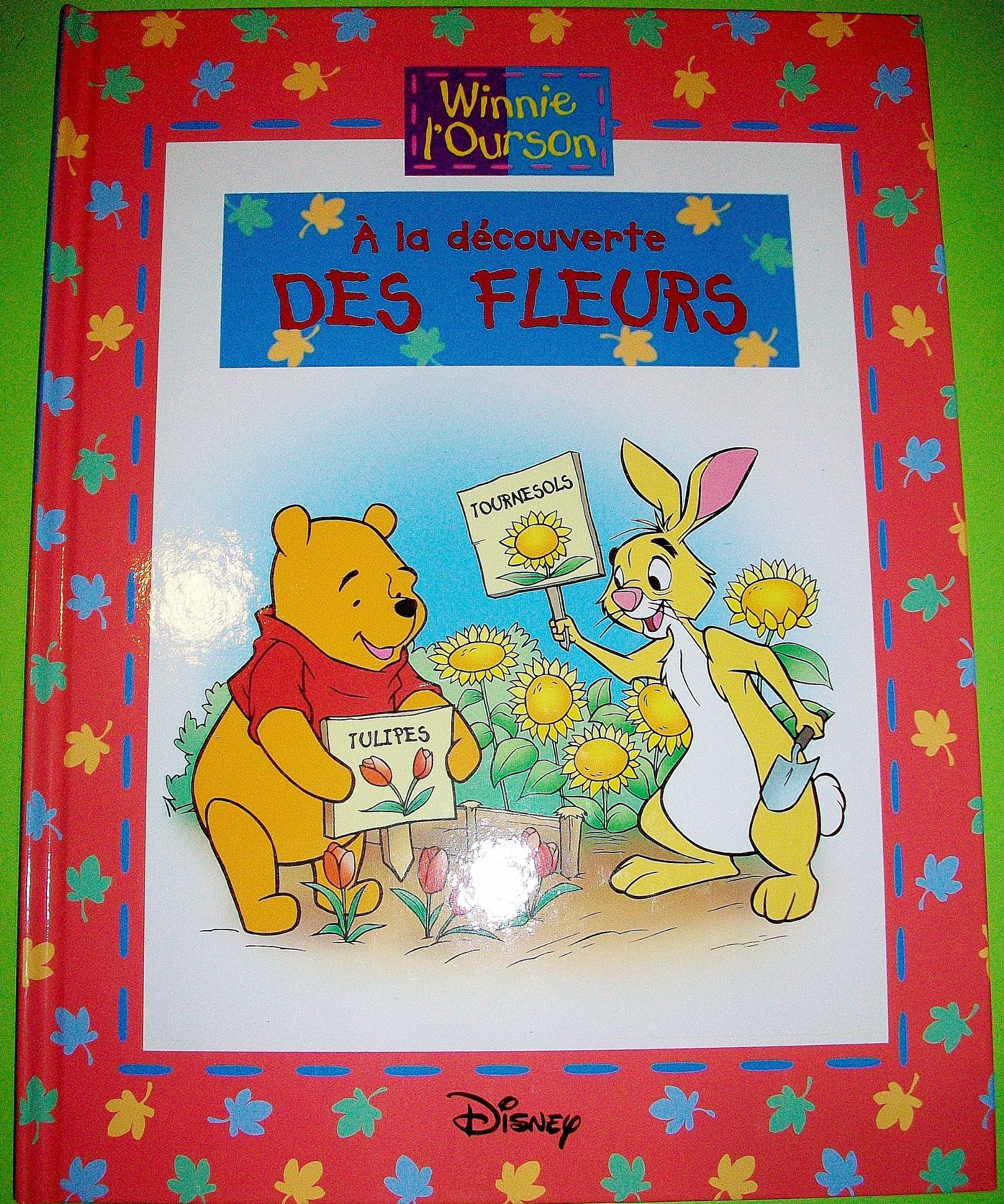 WINNIE L'OURSON : A la découverte des Fleurs book