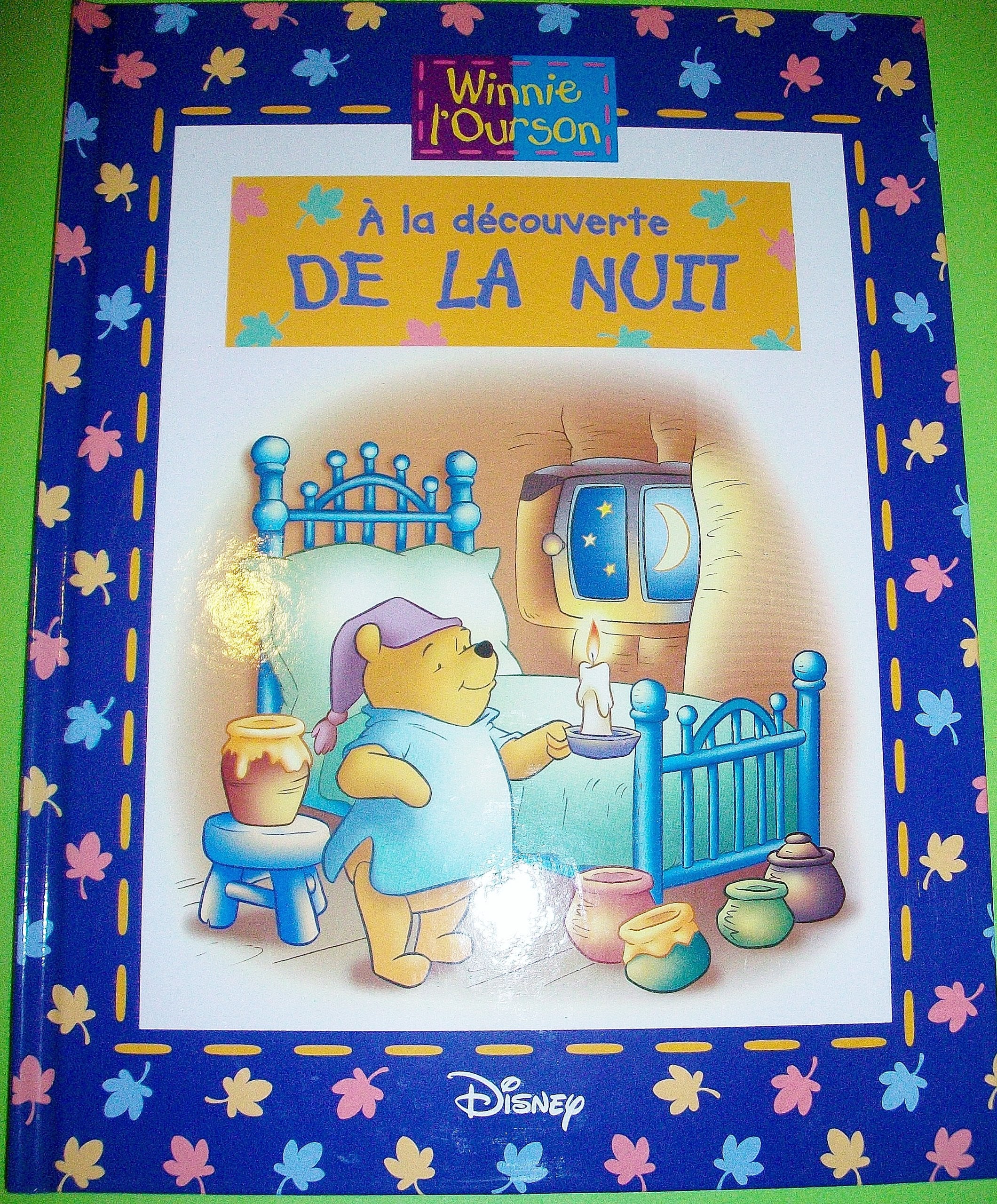 WINNIE L'OURSON : A la découverte de la Nuit book