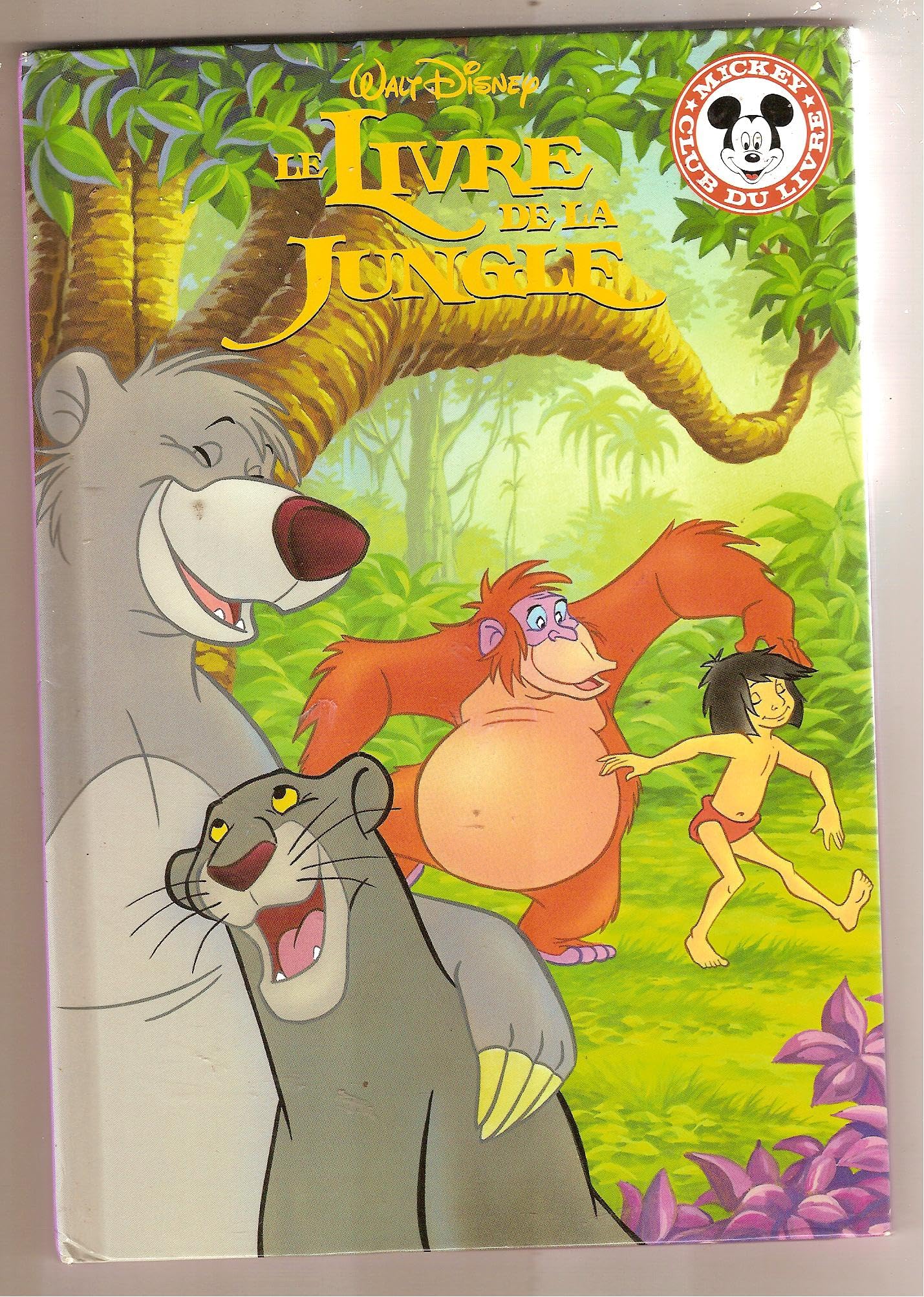 LIVRE DE LA JUNGLE book