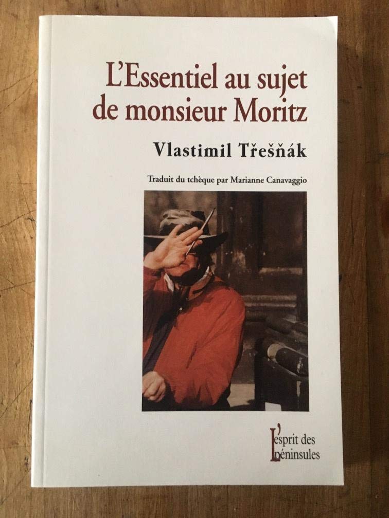 L'Essentiel Au Sujet De Monsieur Moritz book