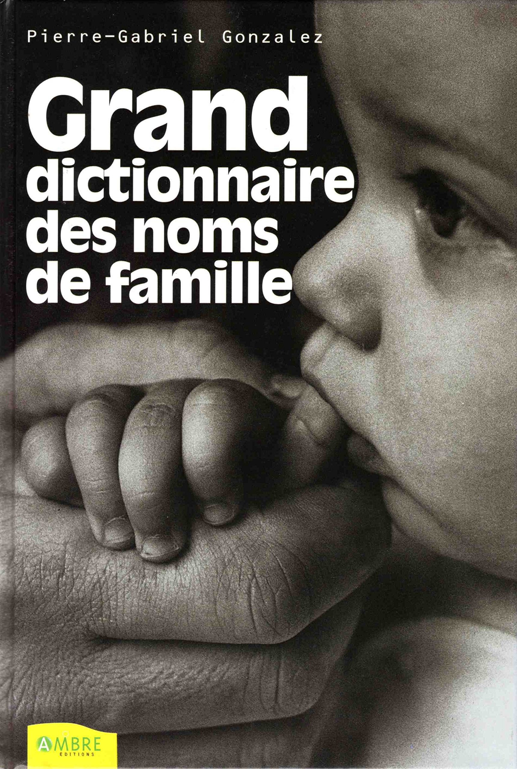 Grand Dictionnaire Des Noms De Famille book