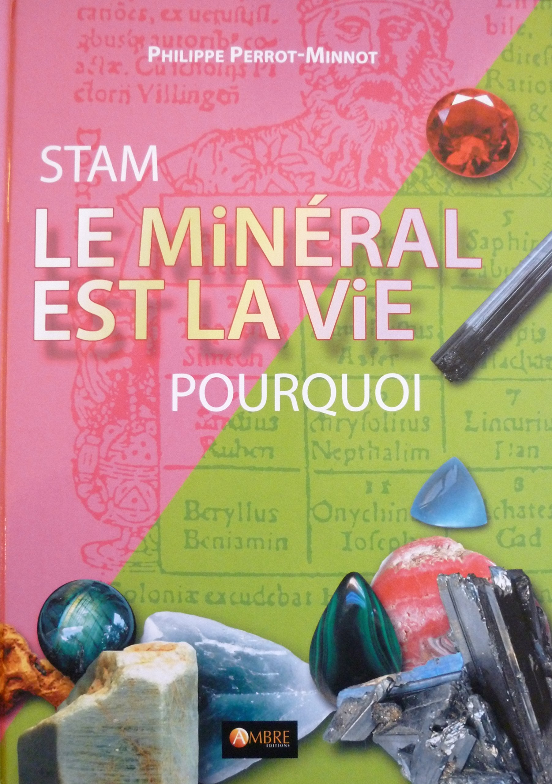 Stam, le minéral est la vie, pourquoi book