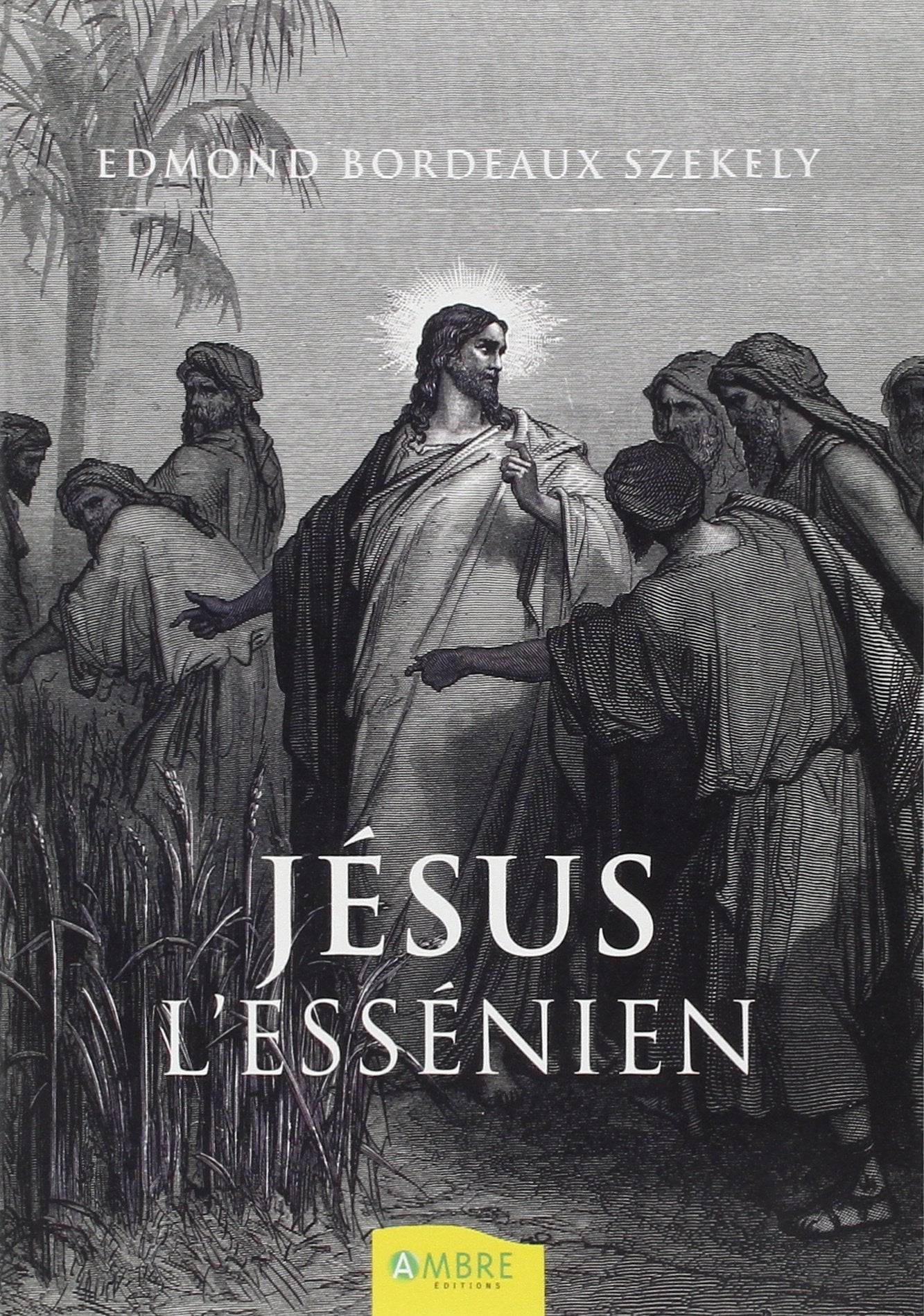 Jésus l'Essénien book