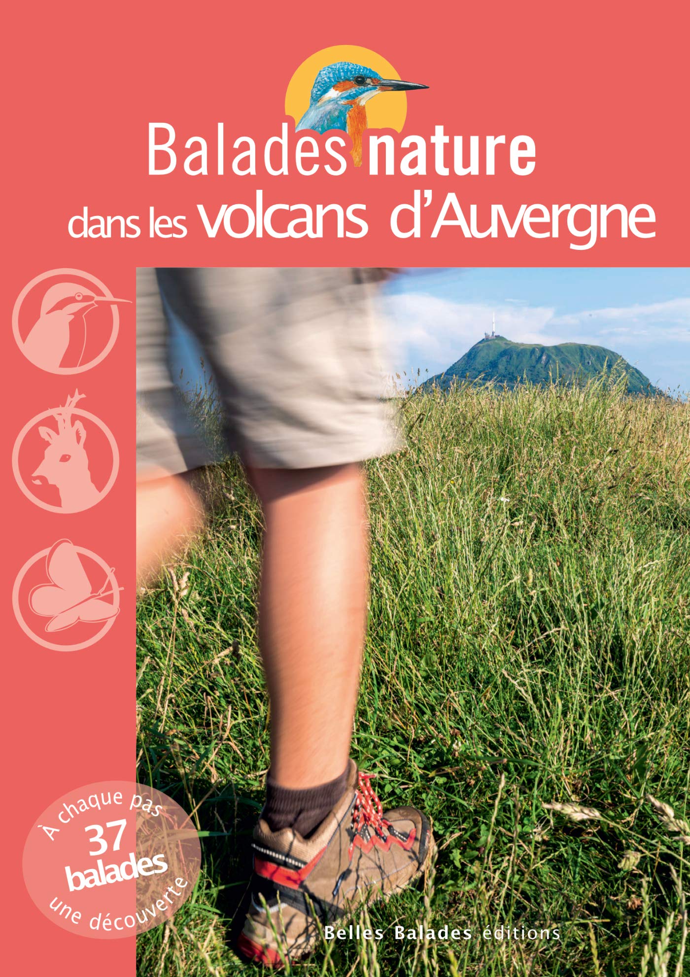 Balades nature dans les volcans d'Auvergne Leisure, Home & Garden