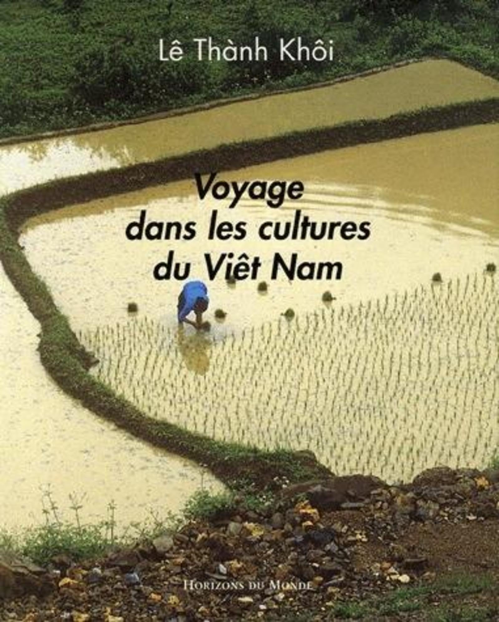 Voyage dans les cultures du Viet Nam book