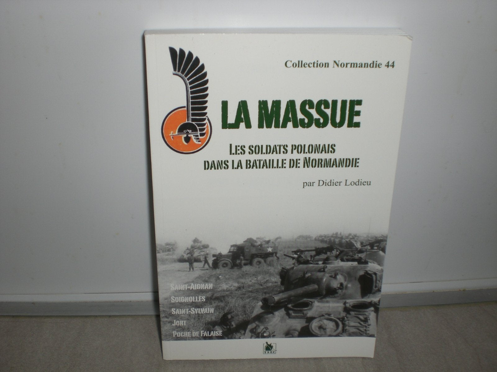 La massue: Les soldats polonais dans la bataille de Normandie Books