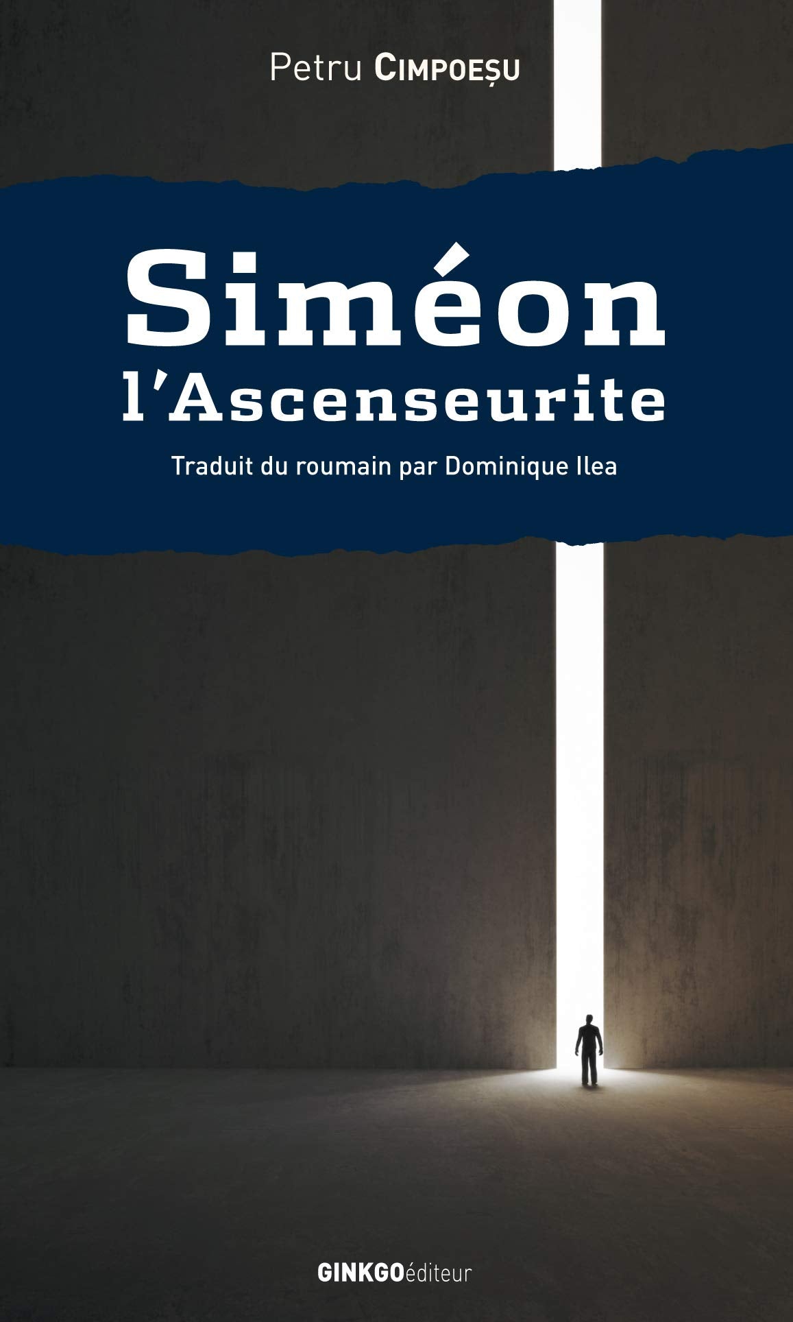 Siméon l'Ascenseurite : Roman avec anges et Moldaves book