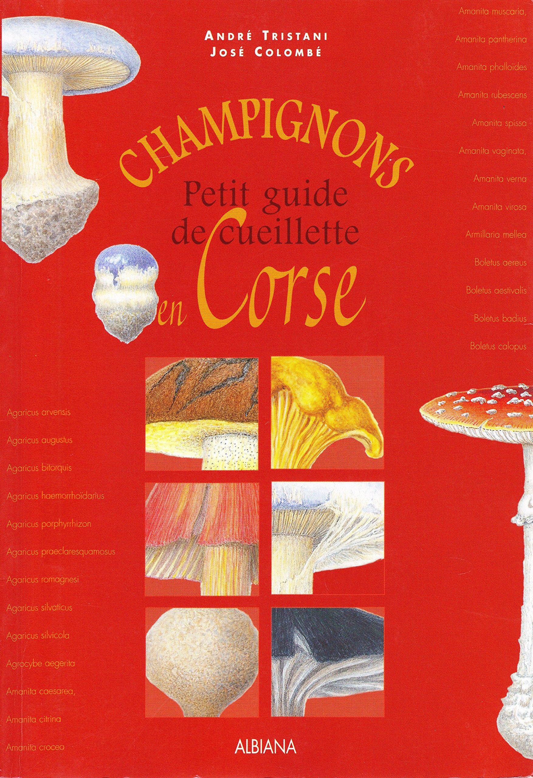 Champignons - Petit guide de cueillette en Corse Leisure, Home & Garden