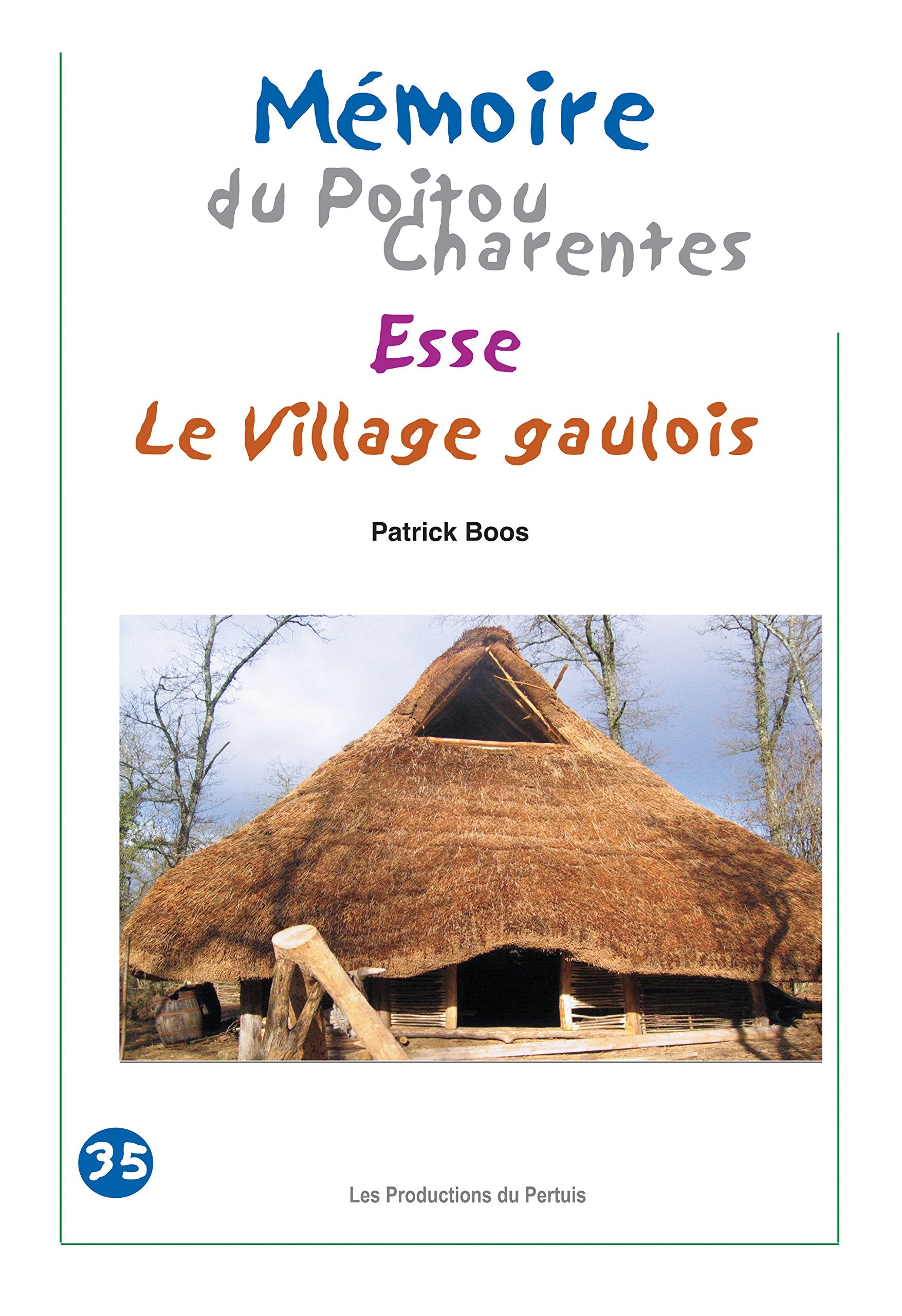 Esse, le village gaulois Mémoire du Poitou-Charentes book