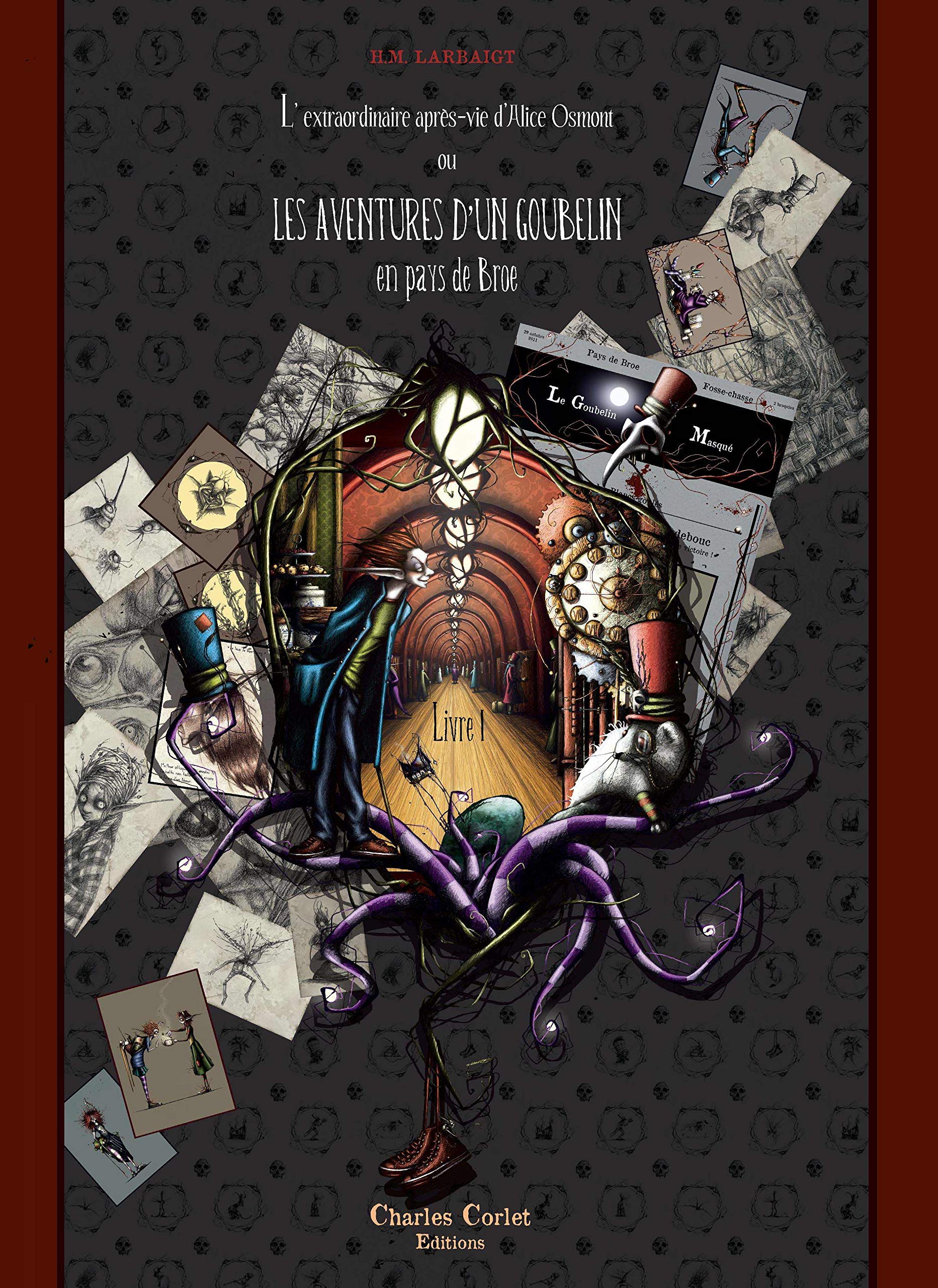 Les Aventures d'un Goubelin en Pays de Broe book