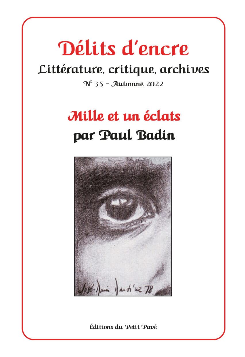 Délits d'encre n°35 - Mille et un éclats book
