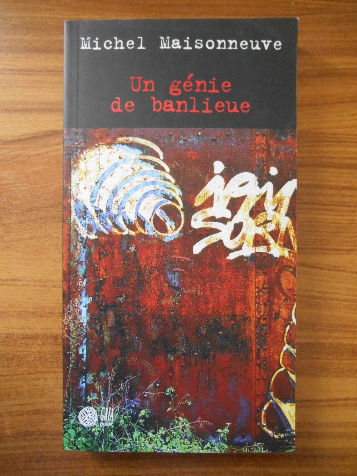 Un génie de banlieue Contemporary literature