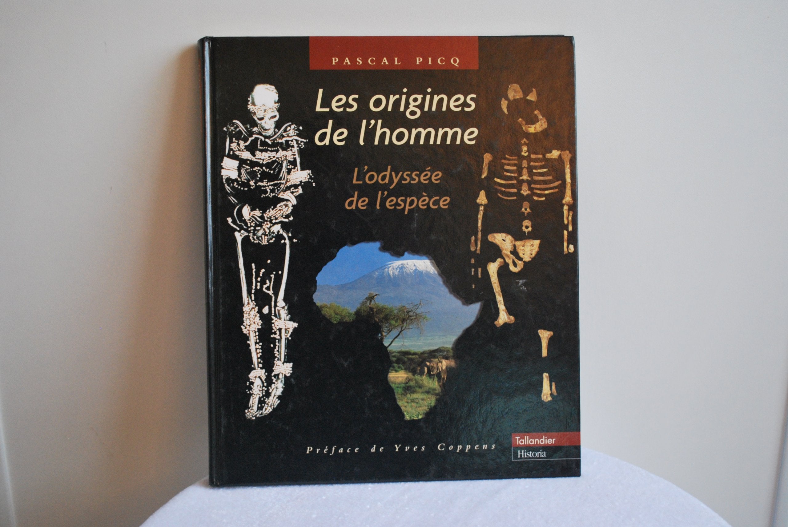Les origines de l'homme: L'Odyssée de l'espèce Film, Art & Culture