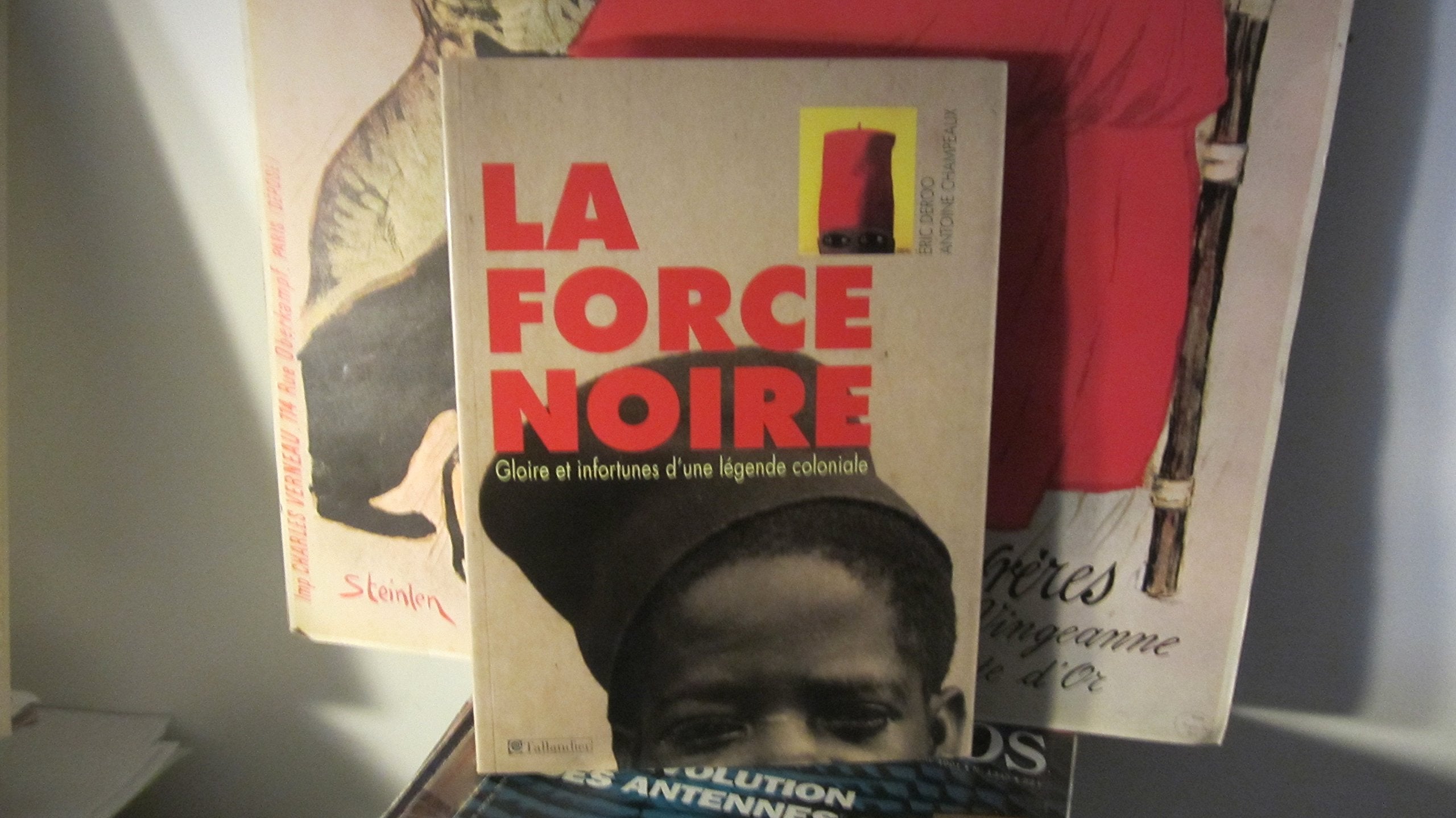 LA FORCE NOIRE: Gloire et infortunes d'une légende coloniale Politics & History