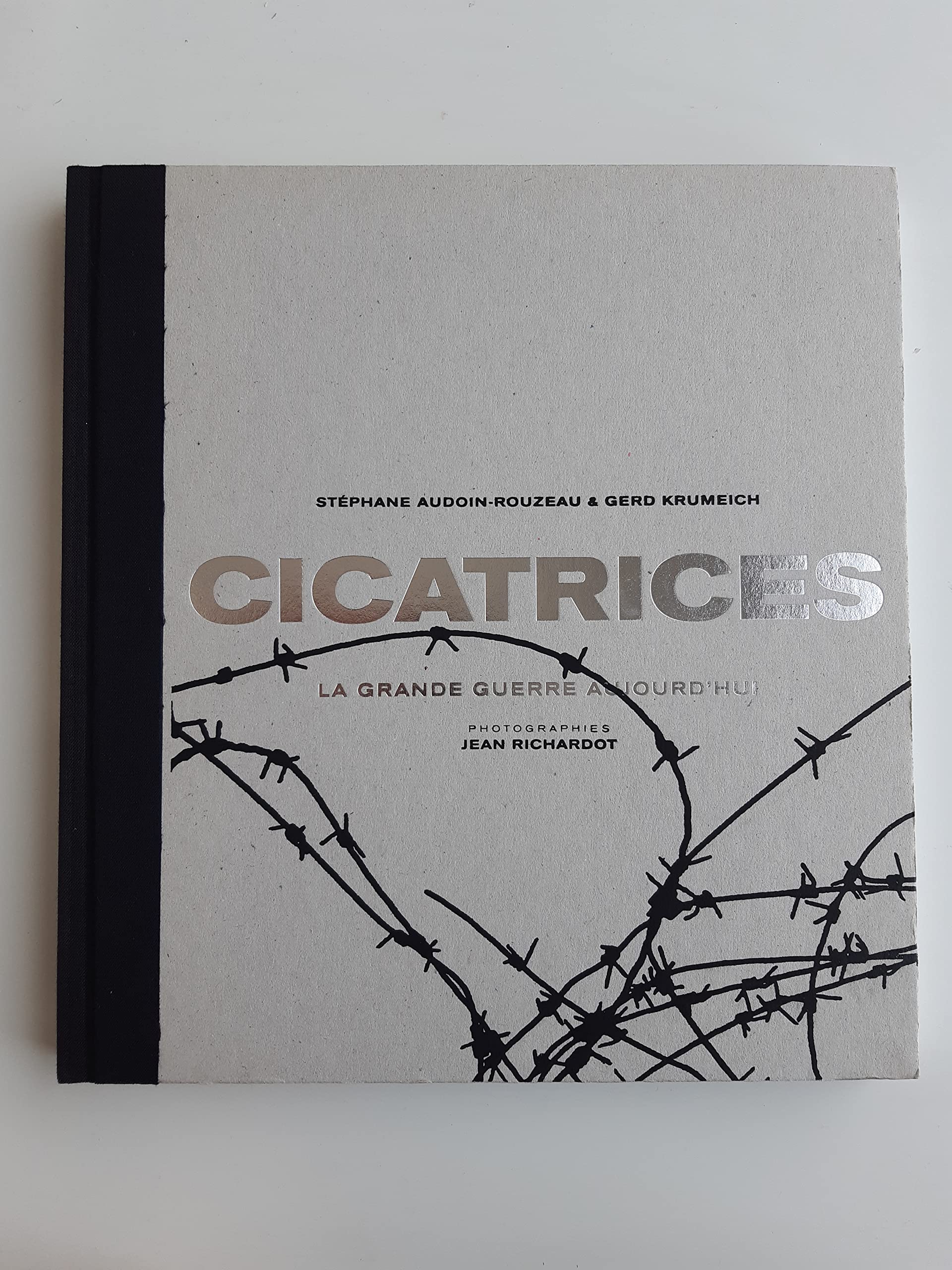 Cicatrices. La Grande Guerre aujourd'hui Film, Art & Culture
