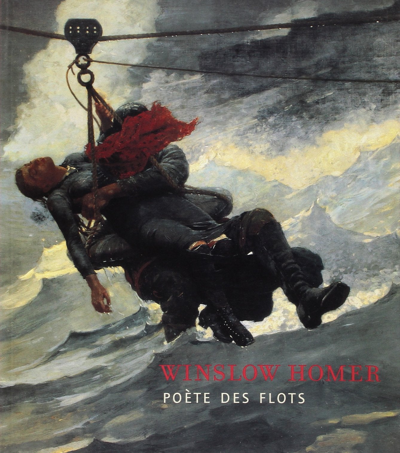 Winslow Homer: Poète des flots book