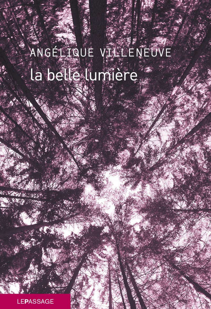 La belle lumière book