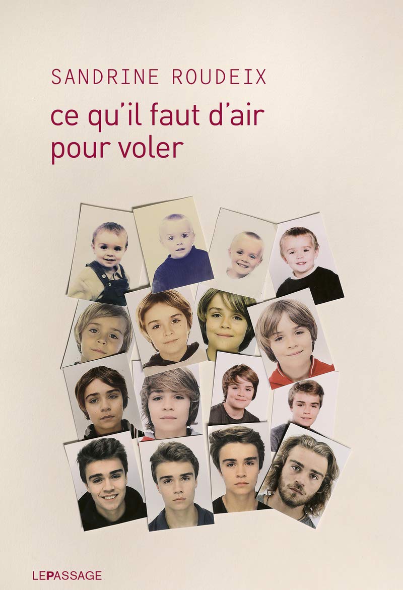 Ce qu'il faut d'air pour voler Contemporary literature
