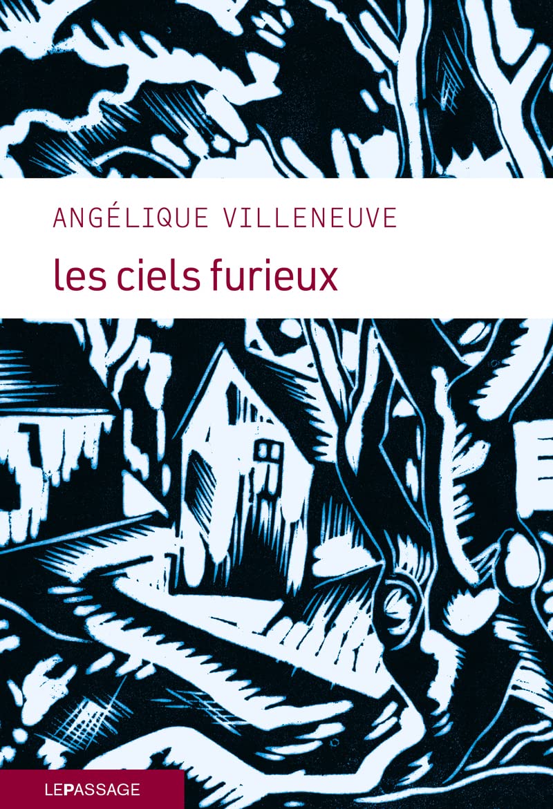 Les Ciels furieux book