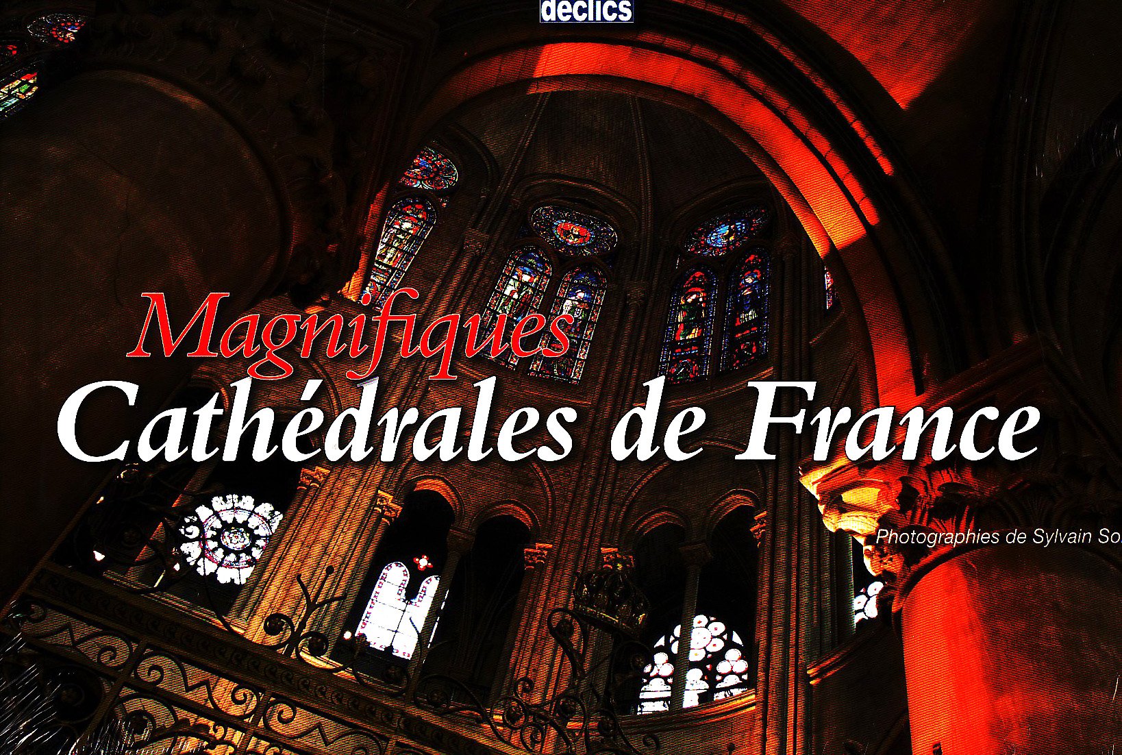 Magnifiques Cathédrales de France Books