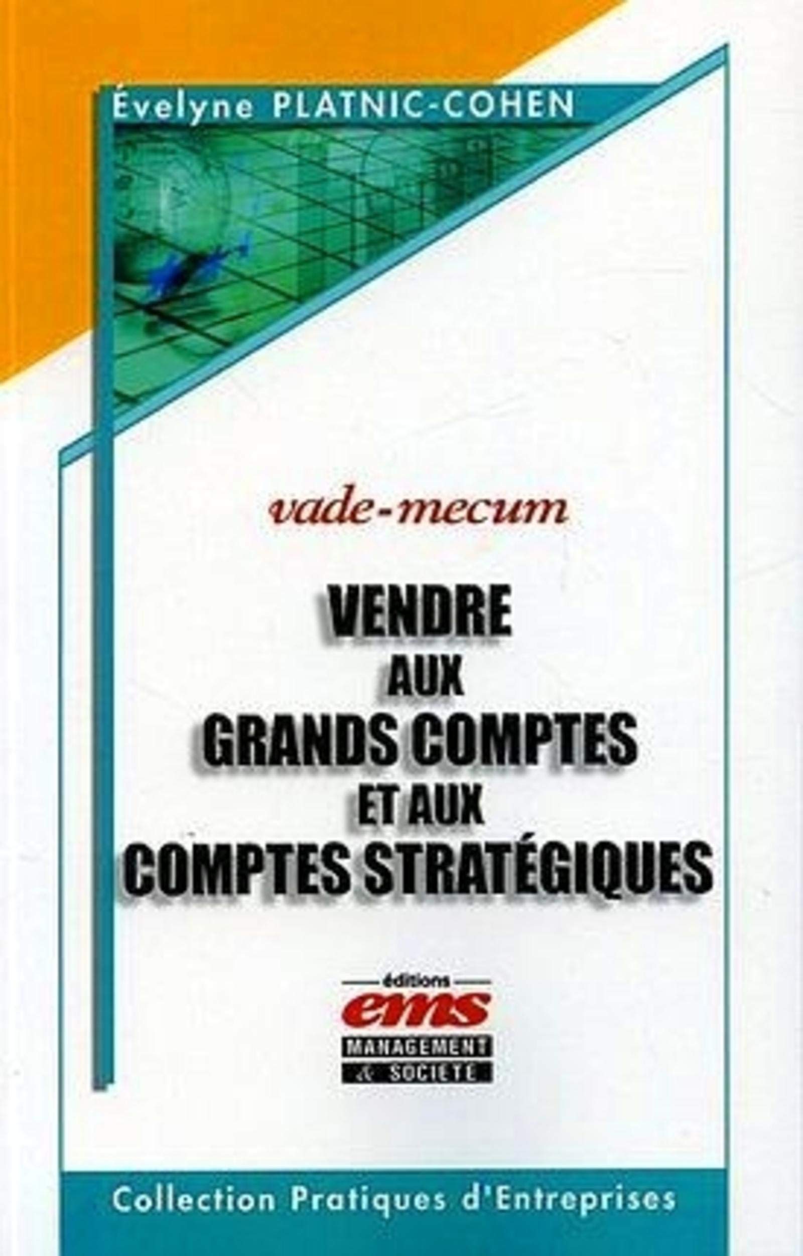 VENDRE AUX GRANDS COMPTES ET AUX COMPTESSTRATEGIQUES book
