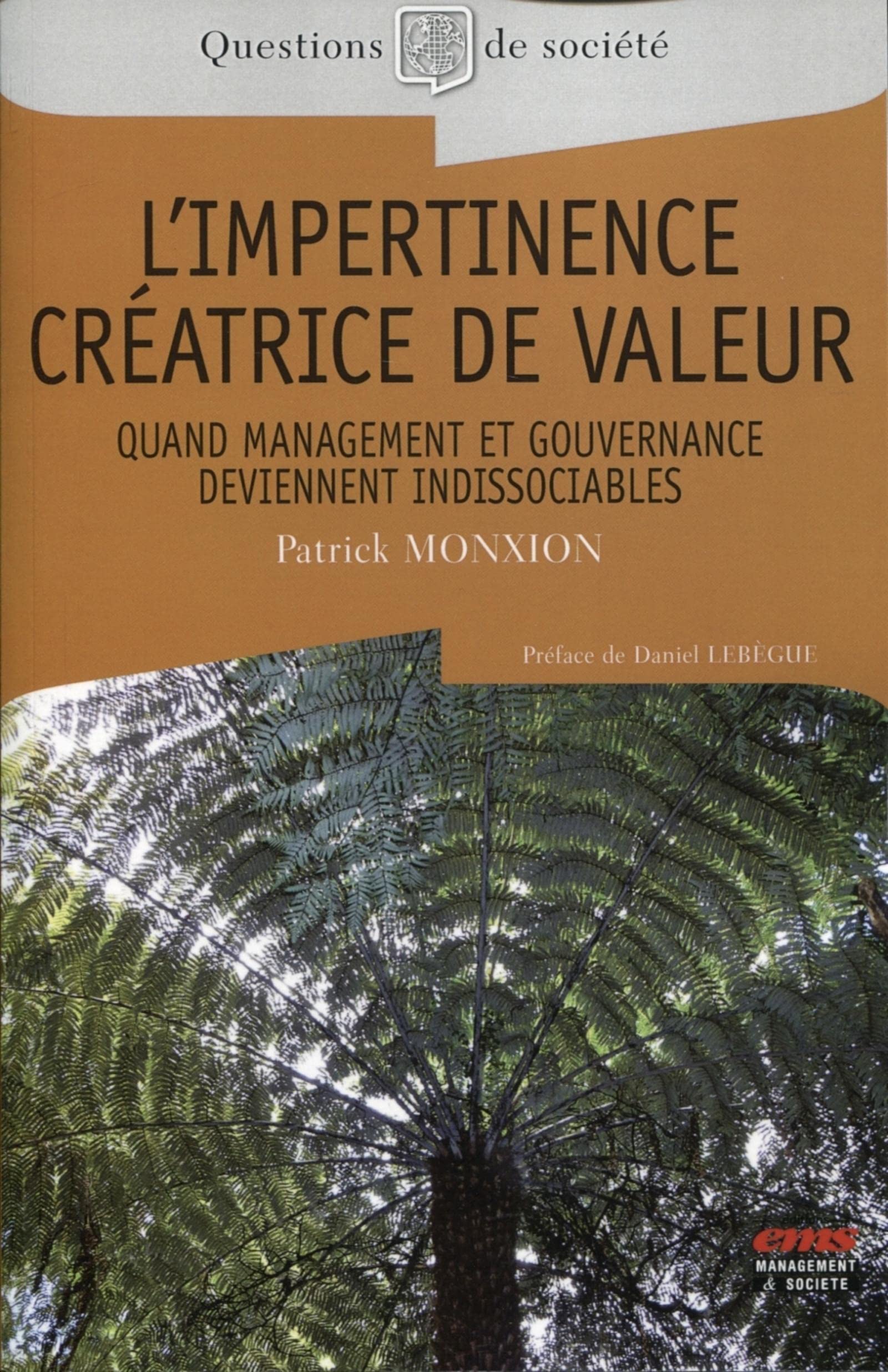 L'impertinence créatrice de valeur: Quand management et gouvernance deviennent indissociables book