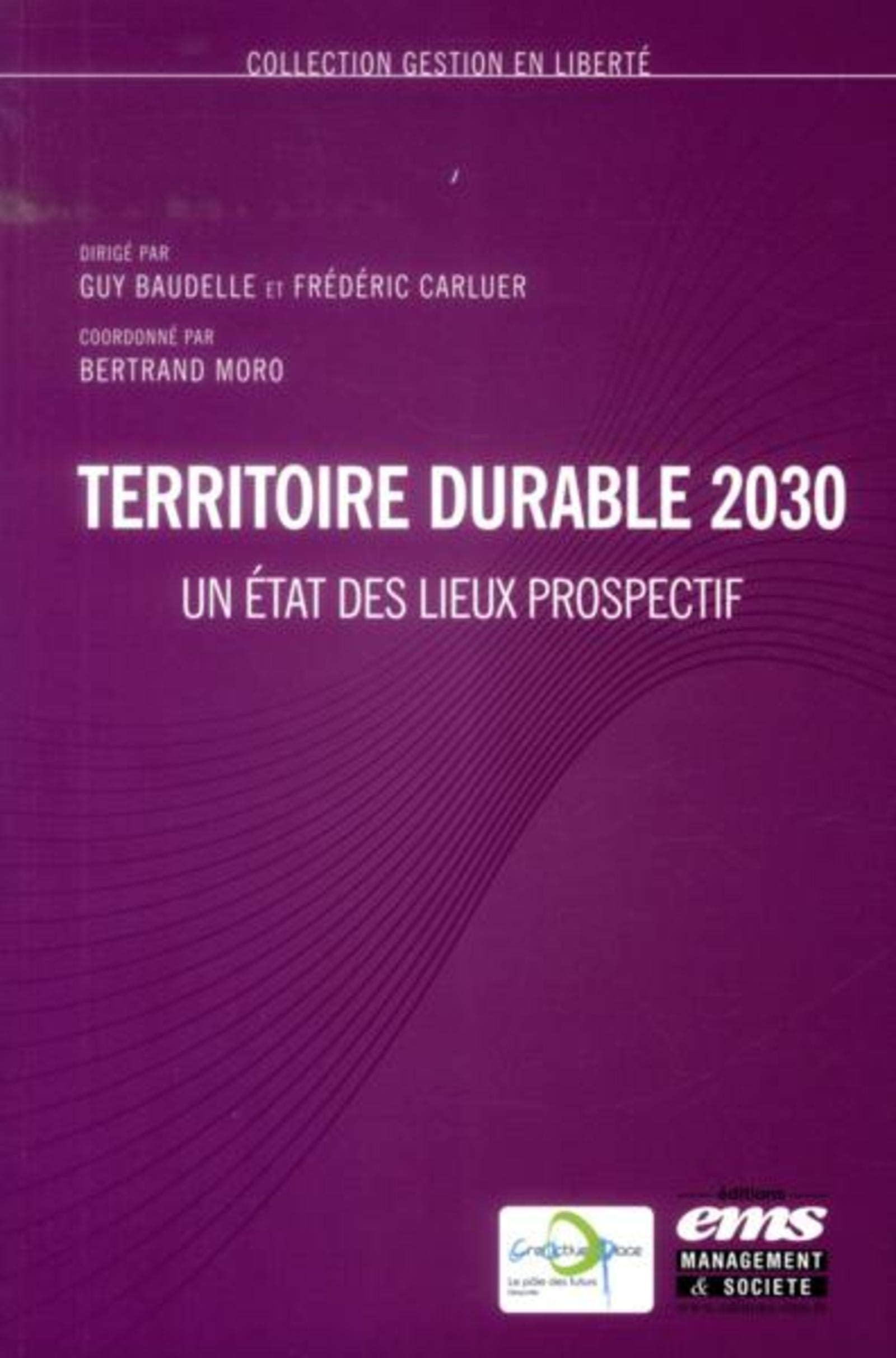 Territoire durable 2030: Un état des lieux prospectif. book