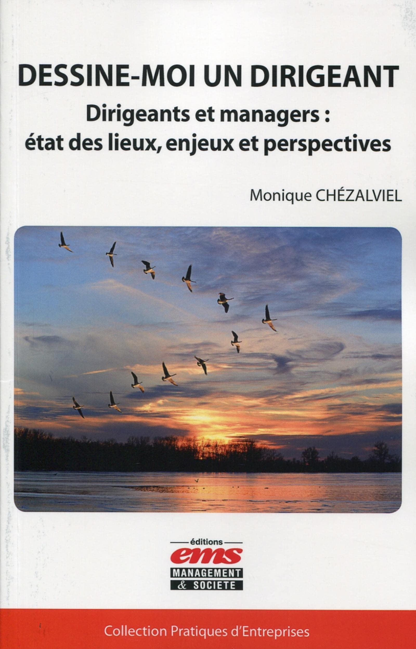 Dessine-moi un dirigeant : Dirigeants et managers, état des lieux, enjeux et perspectives book