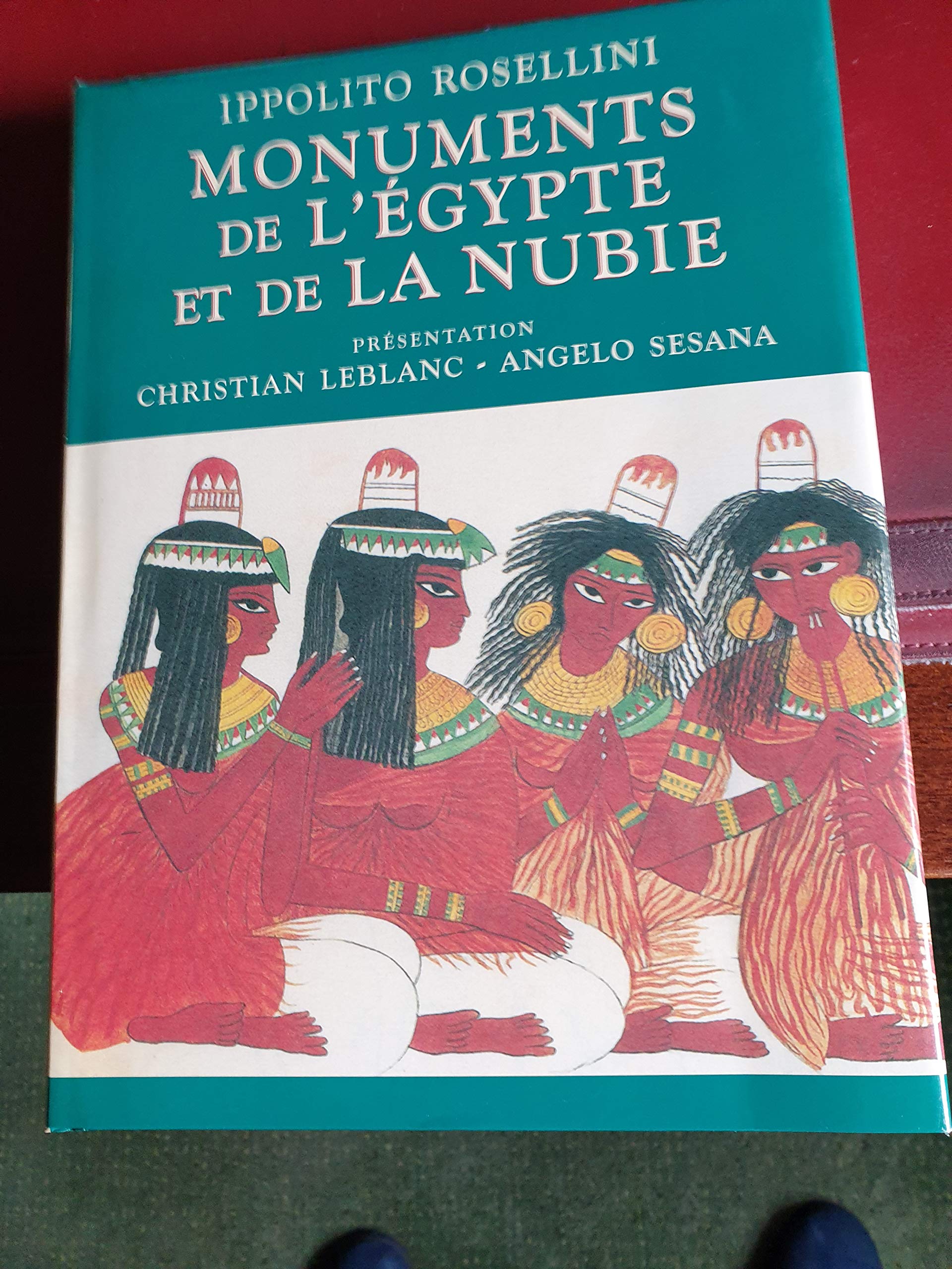 Monuments de l'Egypte et de la Nubie: Dessins de l'expédition franco-toscane de 1828 Books