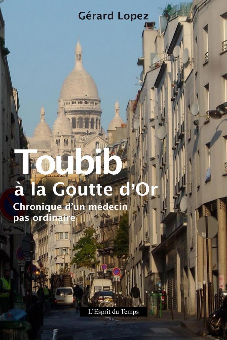 Toubib à la Goutte d'Or: Chronique d'un médecin pas ordinaire Books