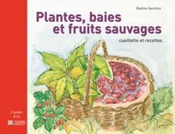 Plantes, baies et fruits sauvages : cueillette et recettes Books