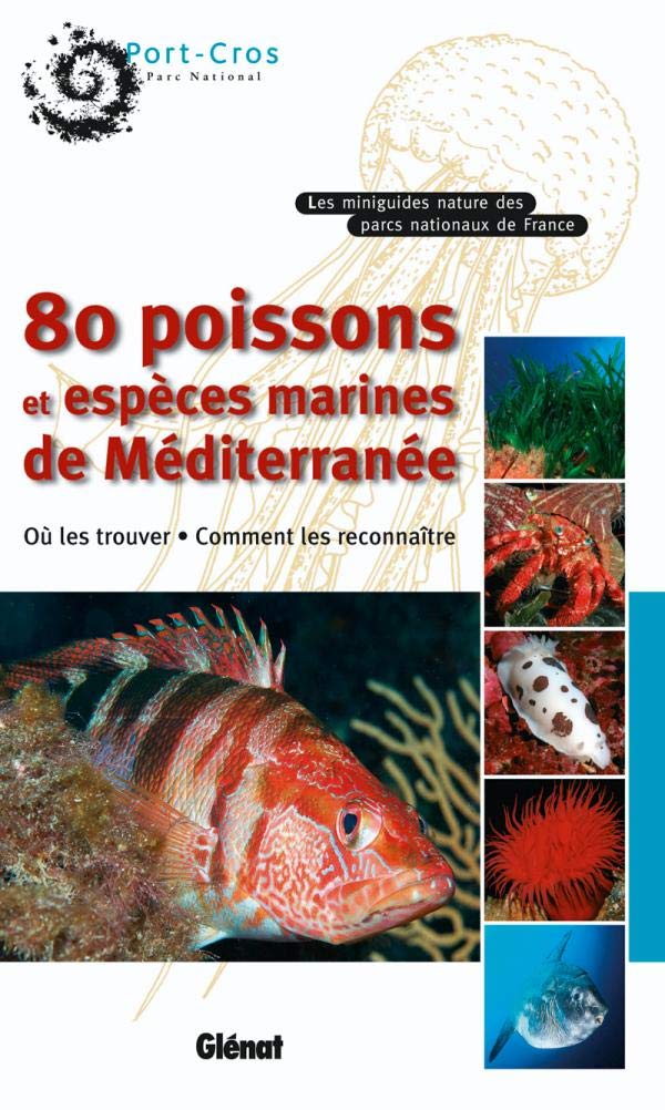 80 poissons et espèces marines de Méditerranée Leisure, Home & Garden