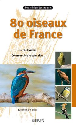80 oiseaux de France : où les trouver, comment les reconnaître Books
