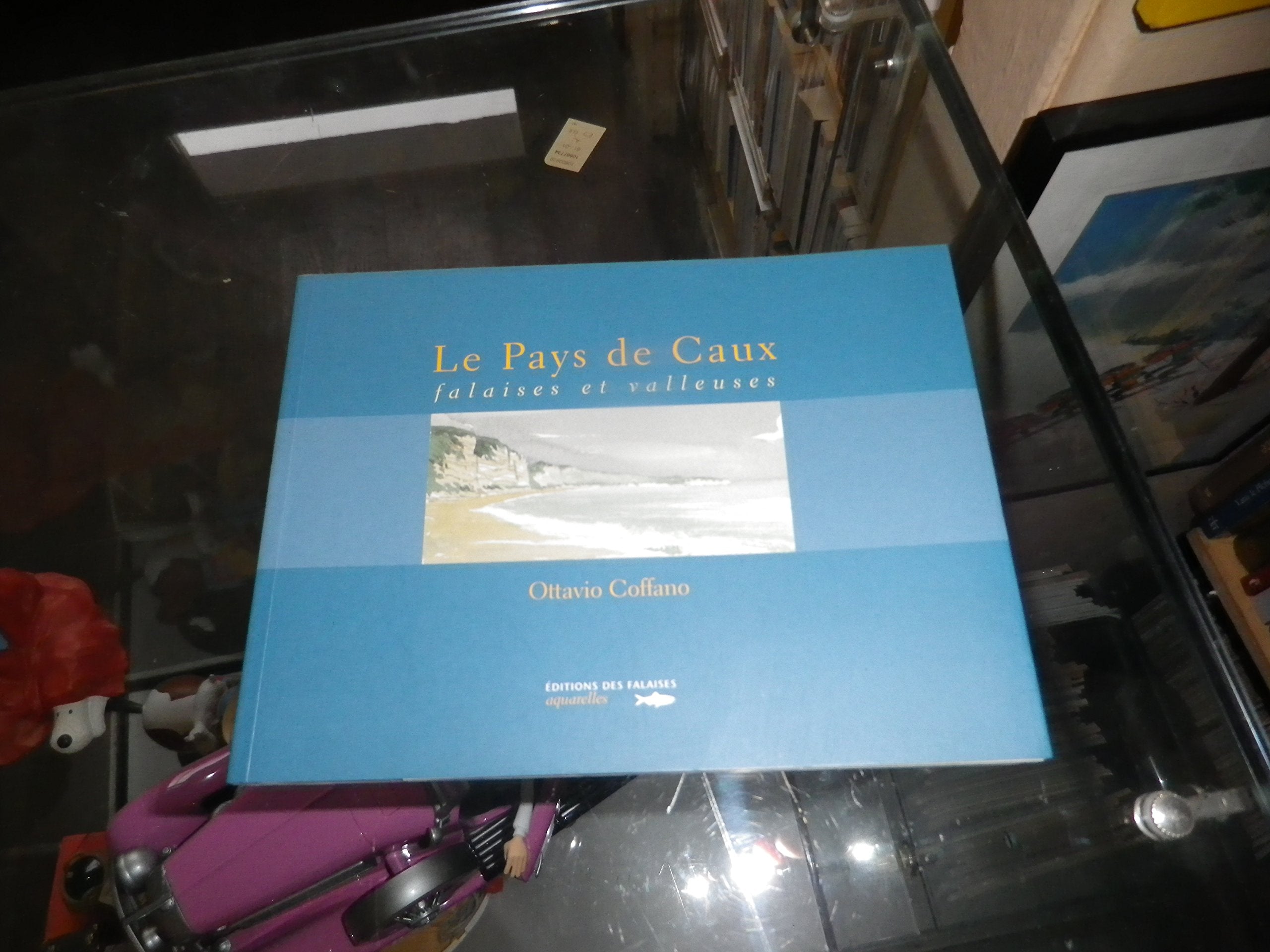 Le pays de caux, falaises et valleuses (Aquarelles) Books