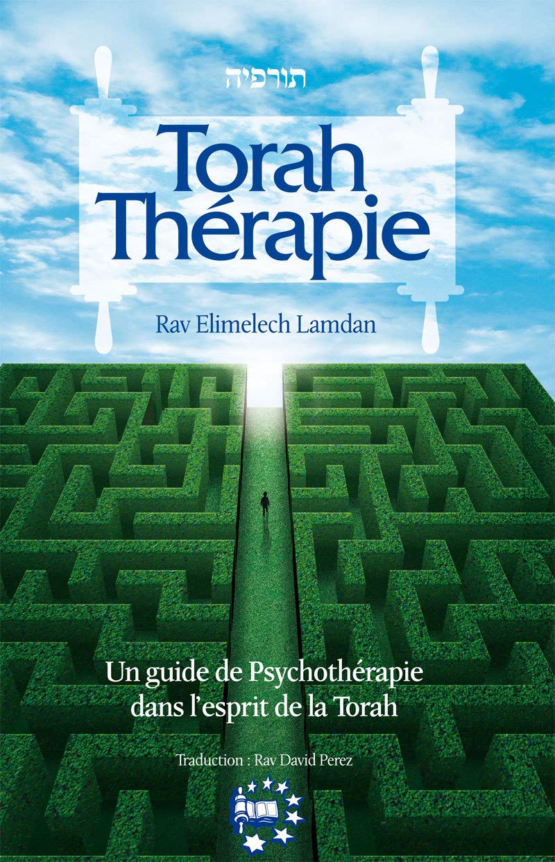 Torah Thérapie: Un guide de psychothérapie dans l'esprit de la Torah book