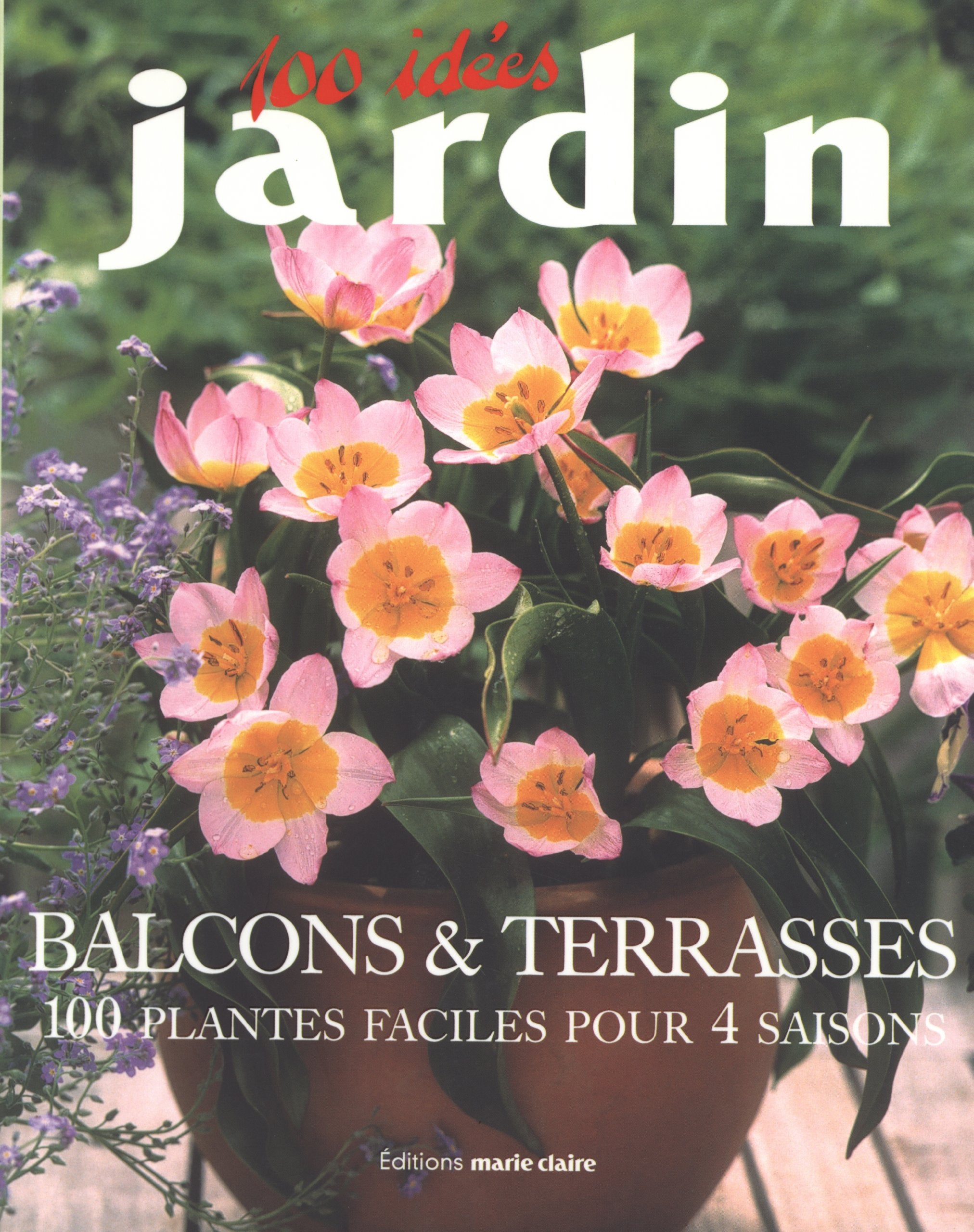 Balcons & terrasses : 100 plantes faciles pour 4 saisons book