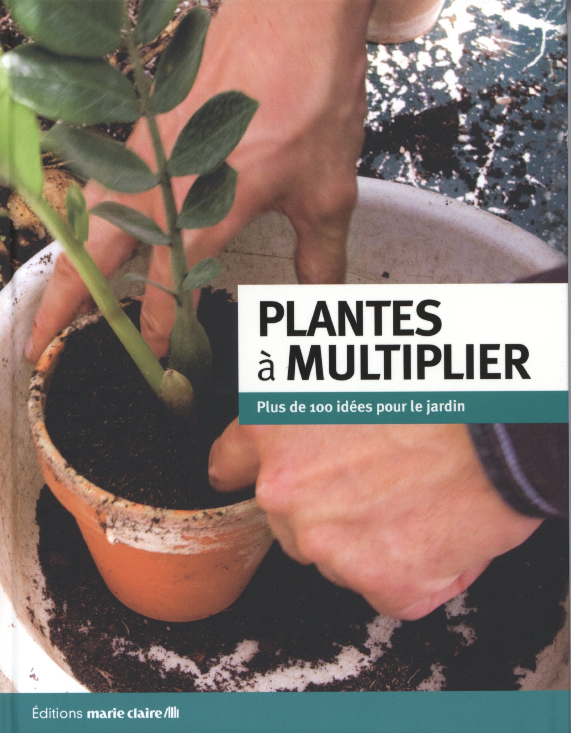 Plantes à multiplier: Plus de 100 idéées pour le jardin book