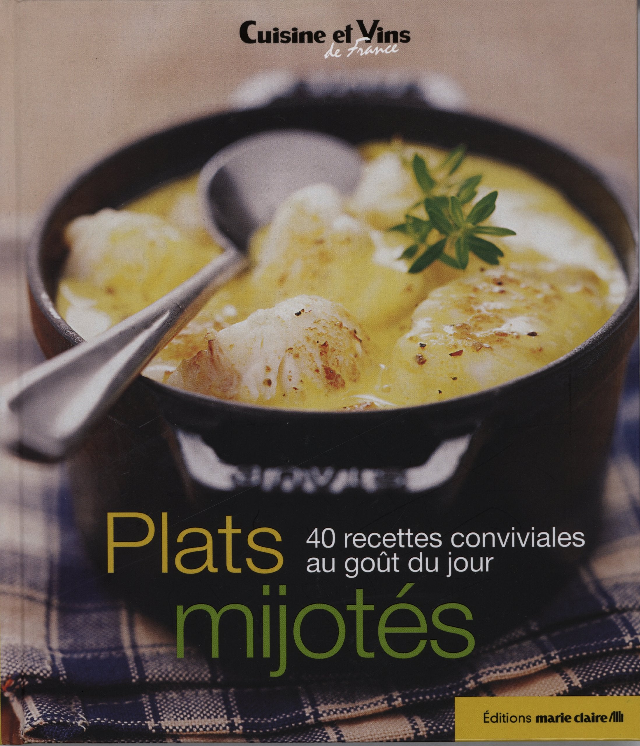 Plats mijotés: 40 recettes conviviales au goût du jour book