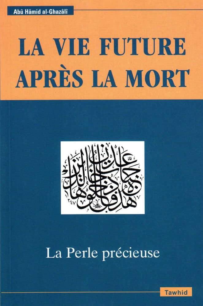 la vie future après la mort book