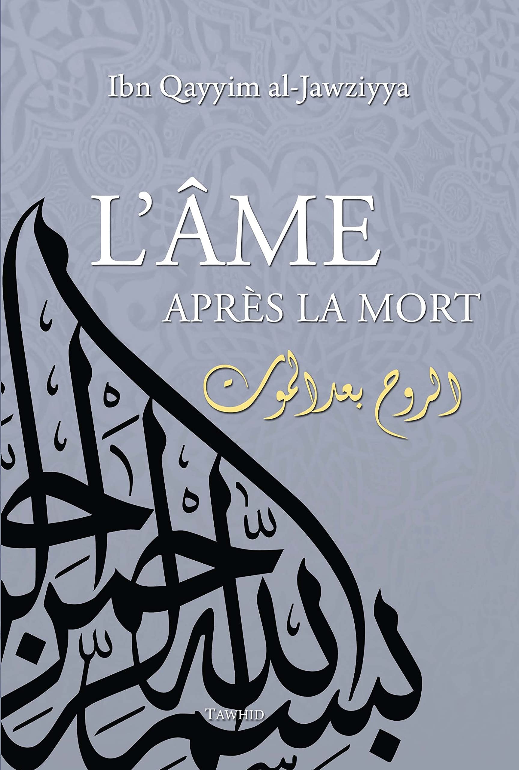 Ame après la mort (L´) book