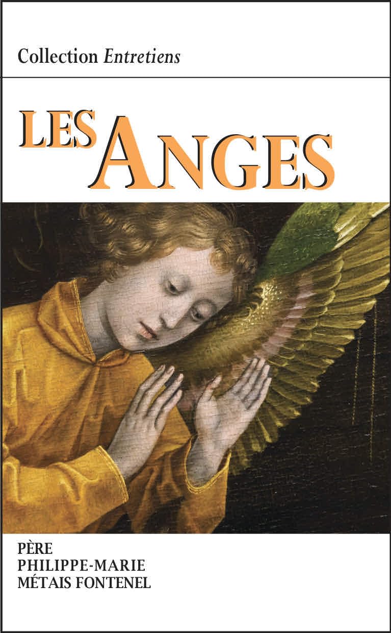 Les Anges. Entretiens book
